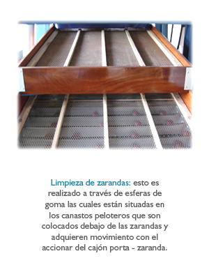 Limpieza de Zarandas